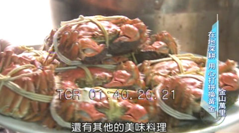 冰冰週記之在地故事.節目擷取畫面.5