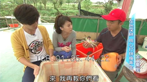 冰冰週記之在地故事.節目擷取畫面.7